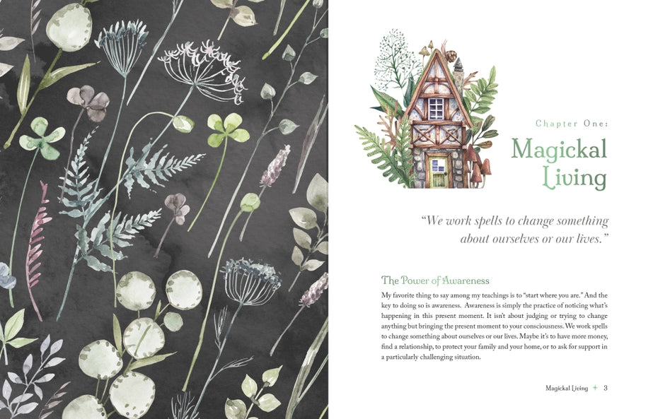 The Witch's Apothecary - Hard Cover Book
