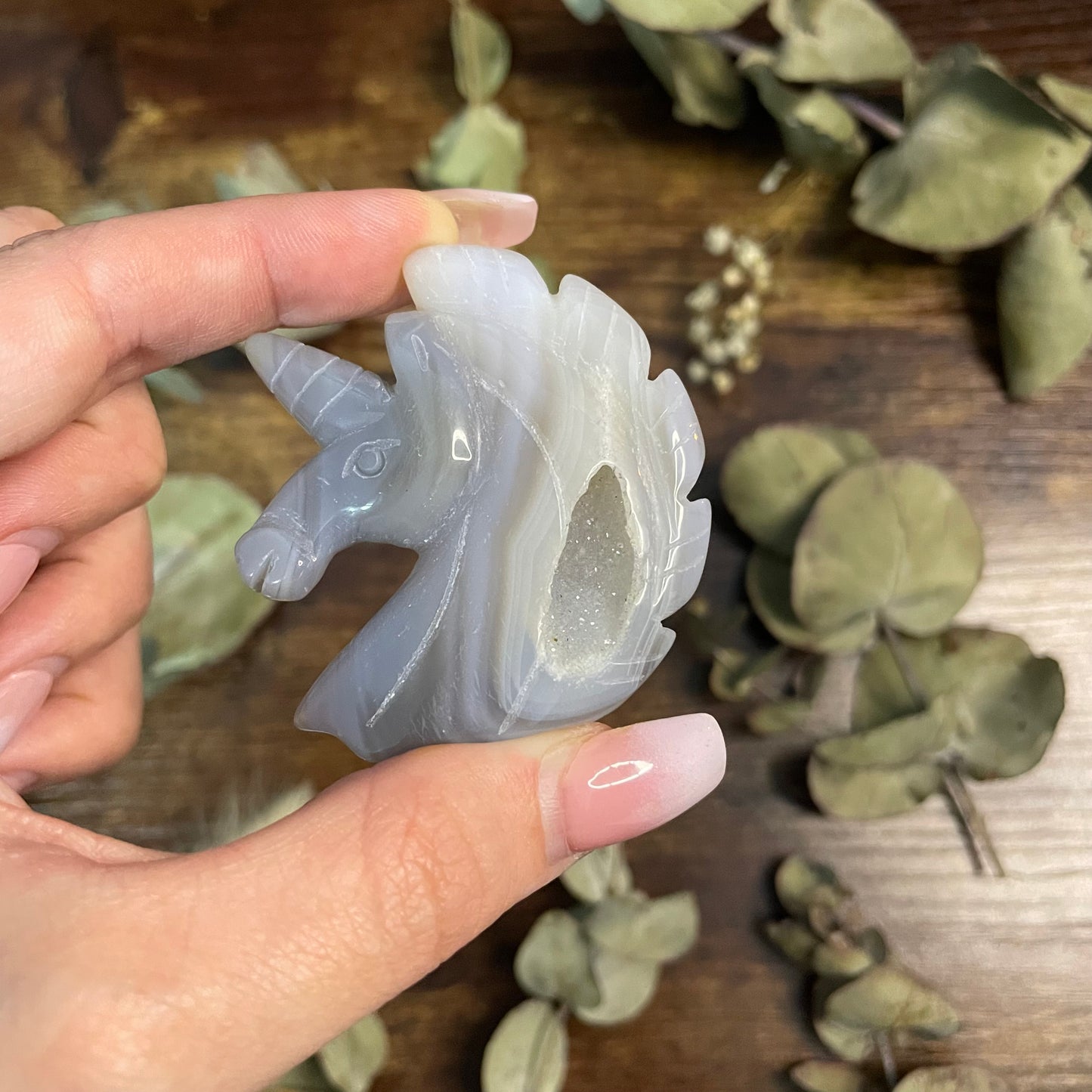 Small Druzy Agate Unicorn #1