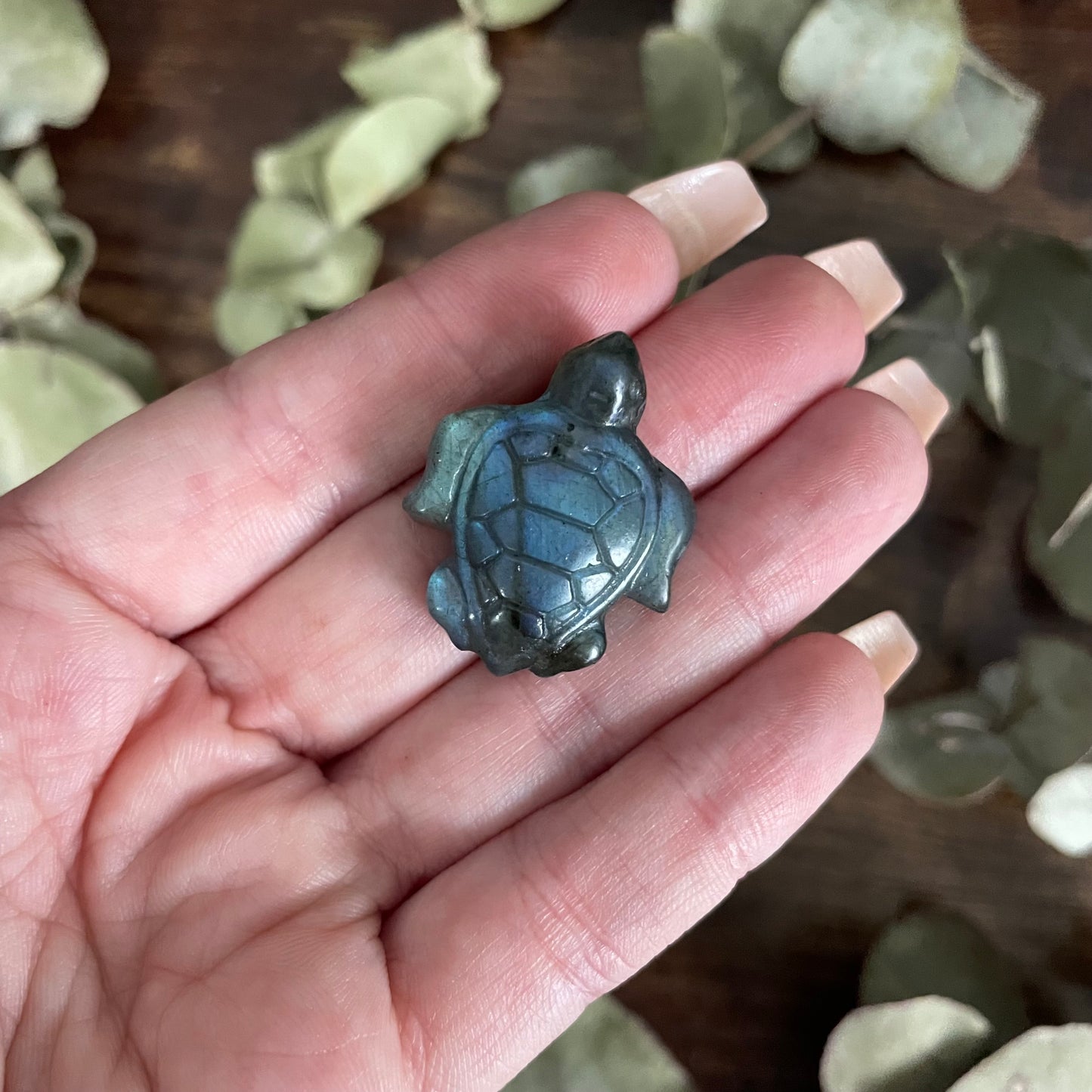 Miniature Turtle - Labradorite