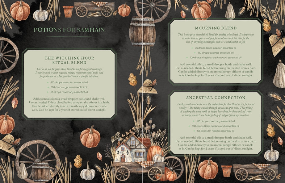 The Witch's Apothecary - Hard Cover Book