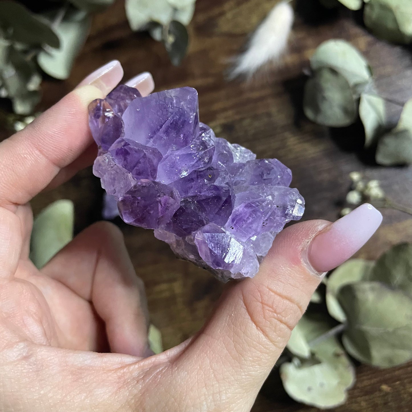 Small Amethyst Cluster