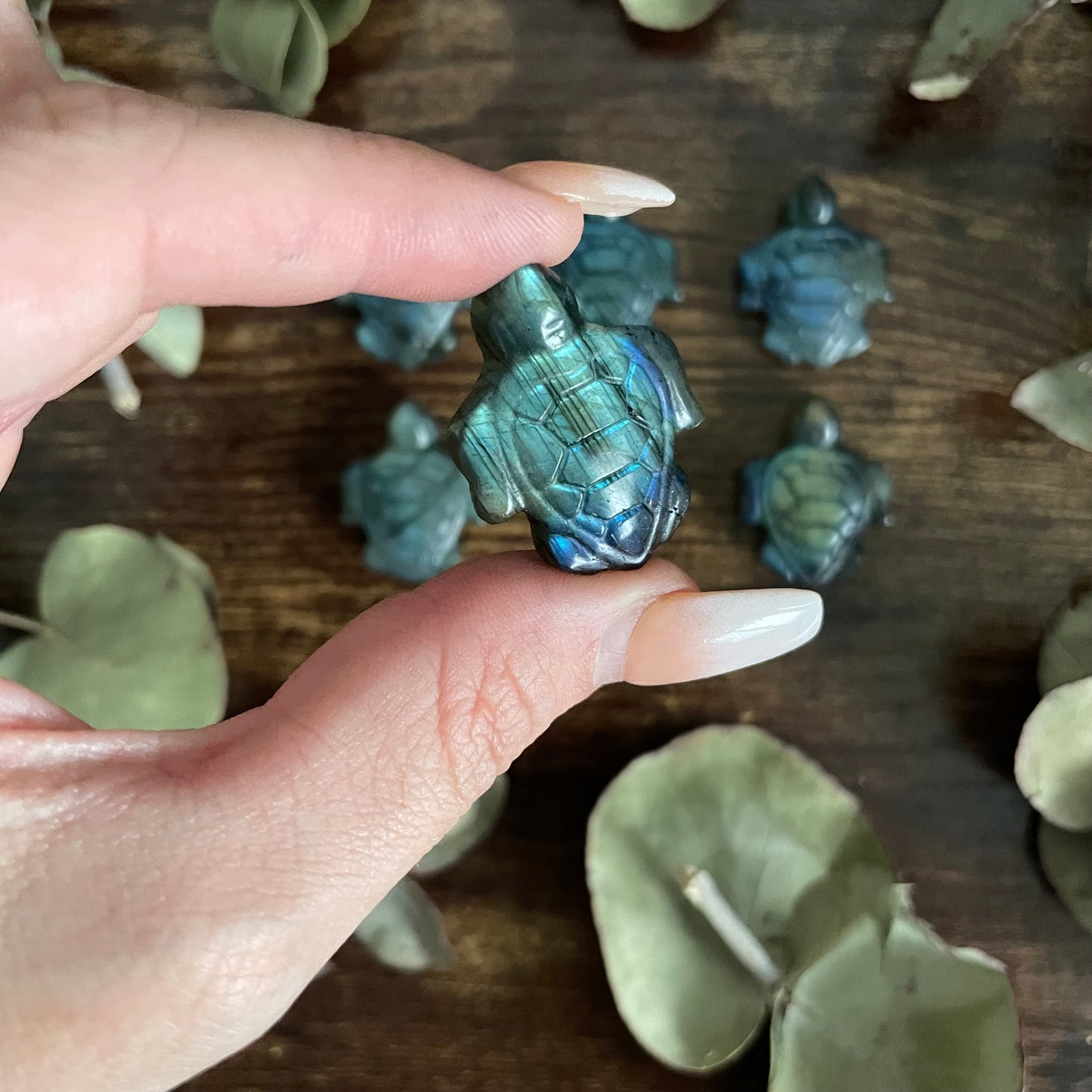 Miniature Turtle - Labradorite
