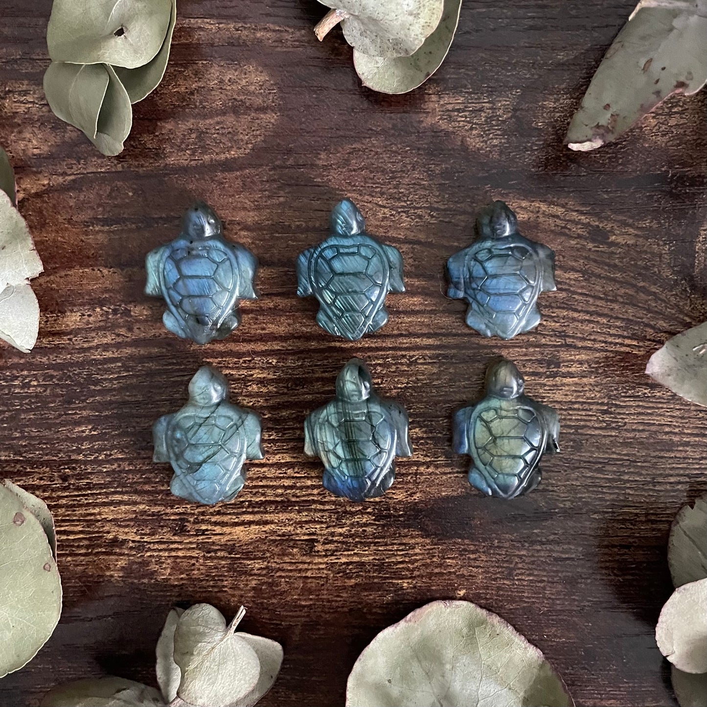 Miniature Turtle - Labradorite