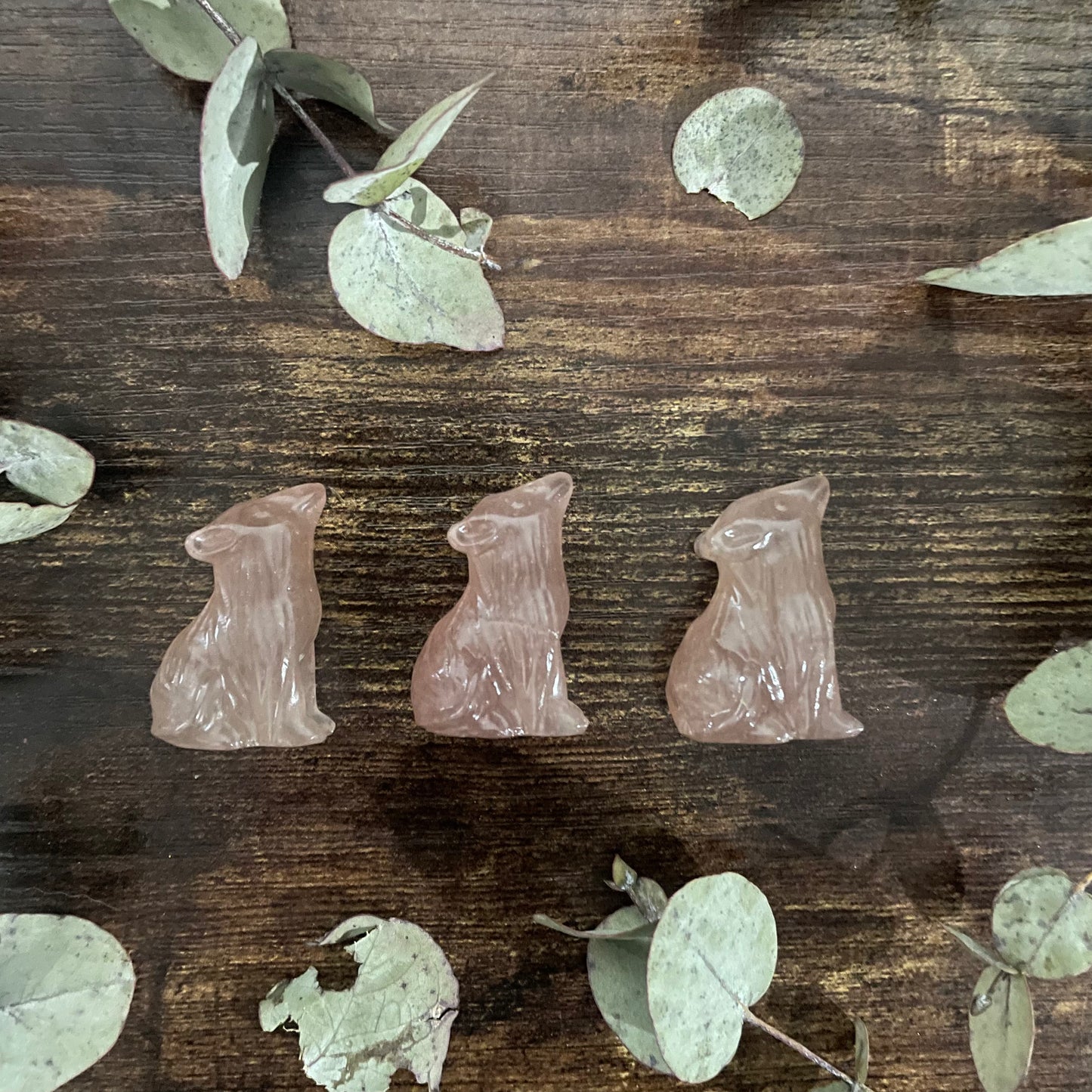 Miniature Wolf - Assorted