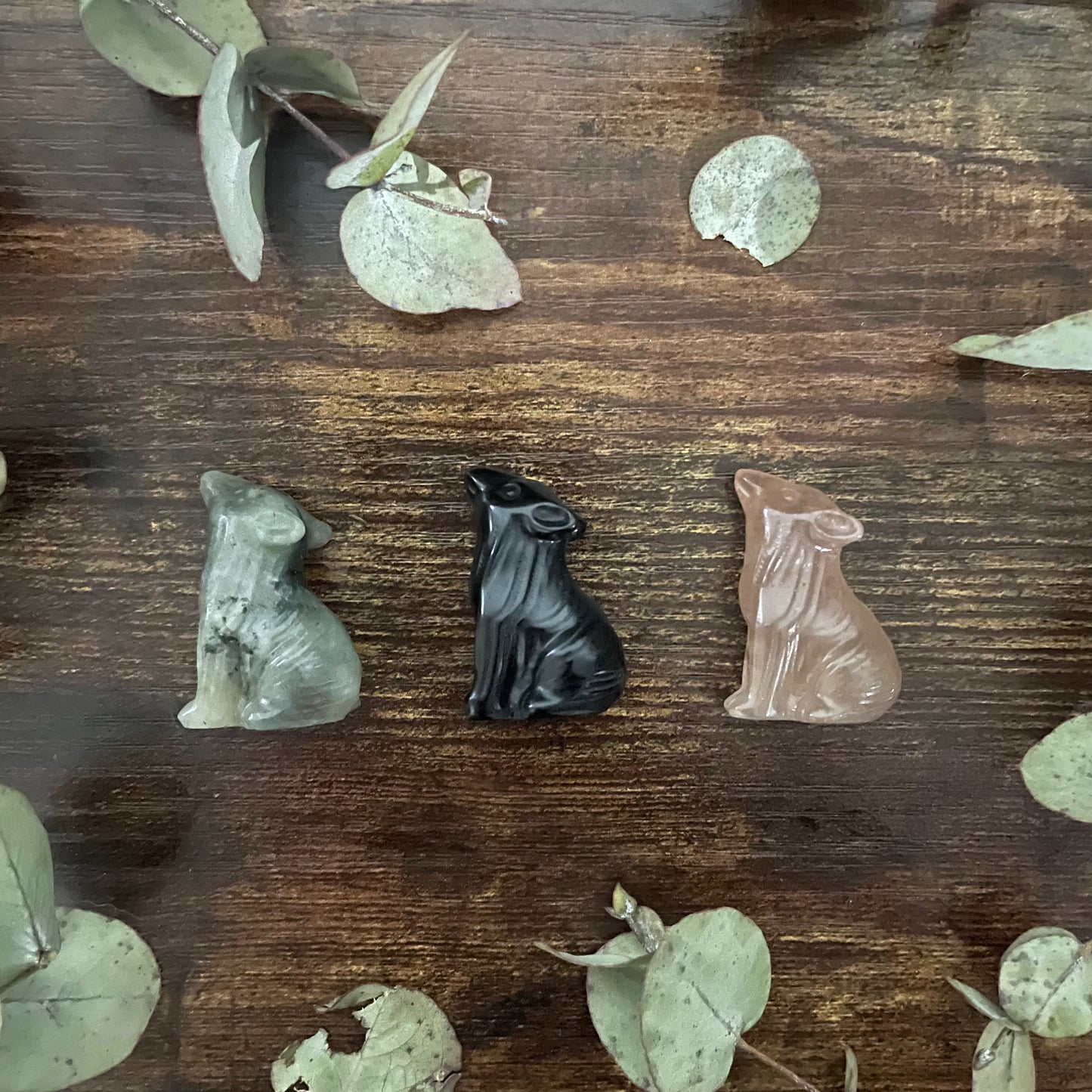 Miniature Wolf - Assorted