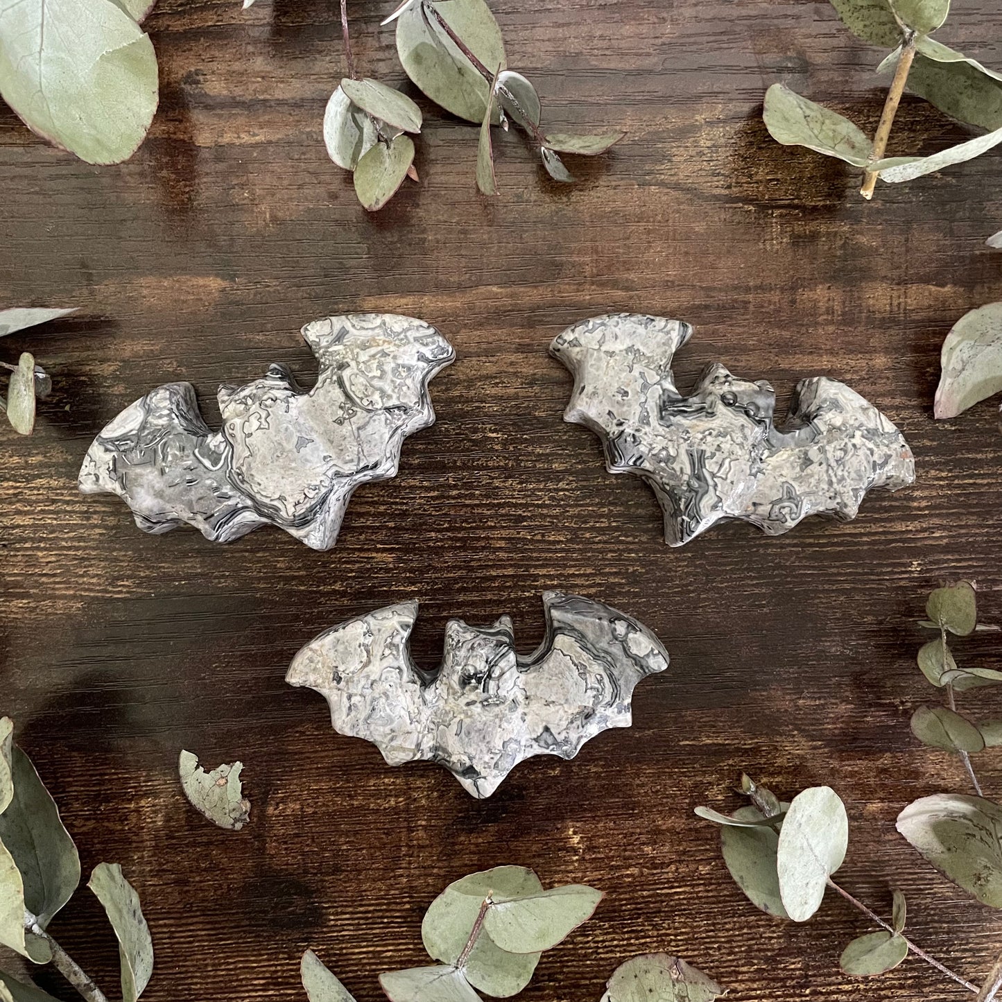 Flying Bat - Assorted
