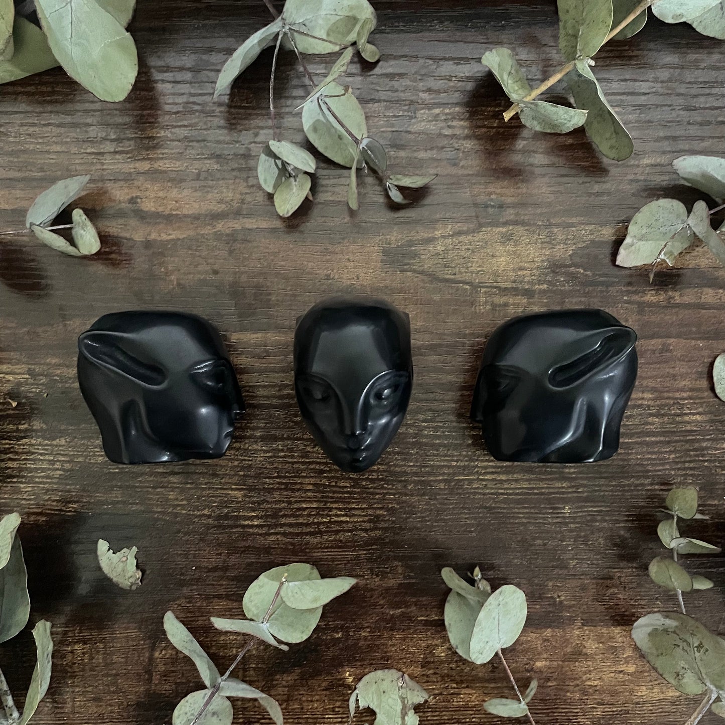 Extra Terrestrial Head - Black Obsidian