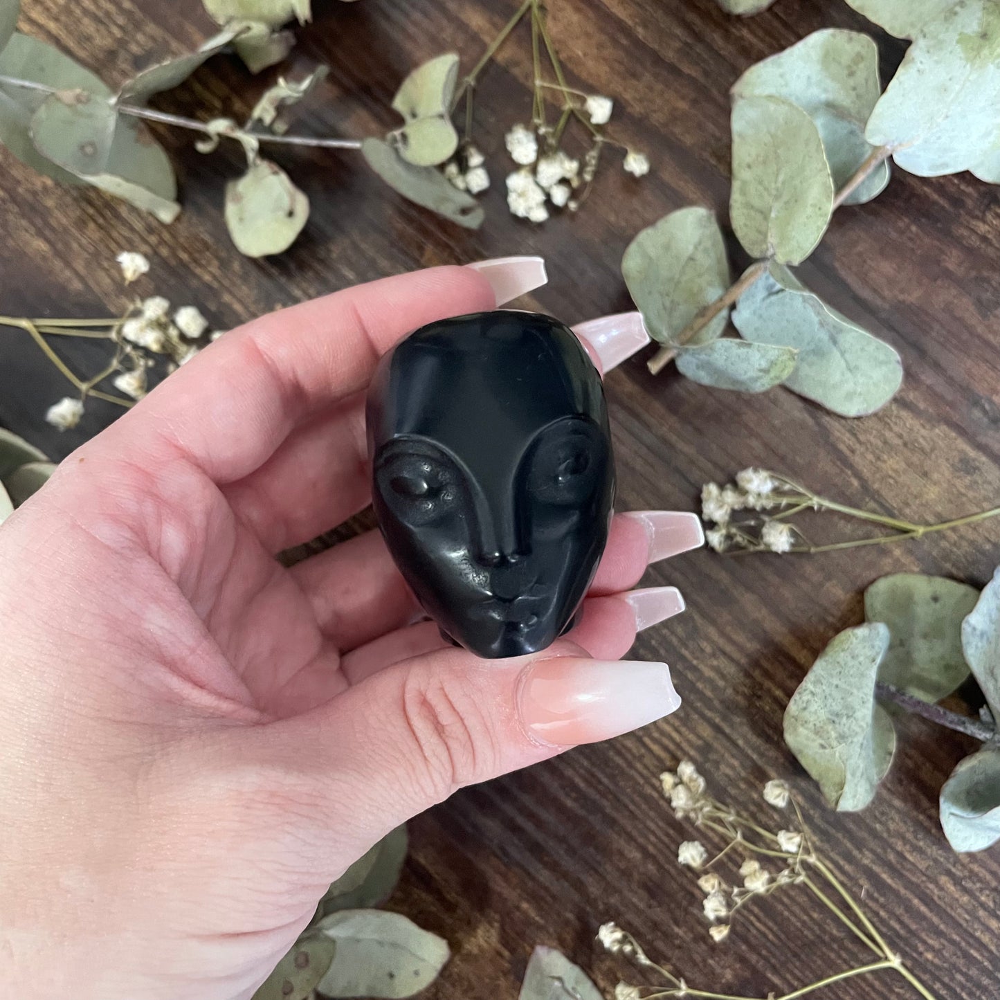 Extra Terrestrial Head - Black Obsidian