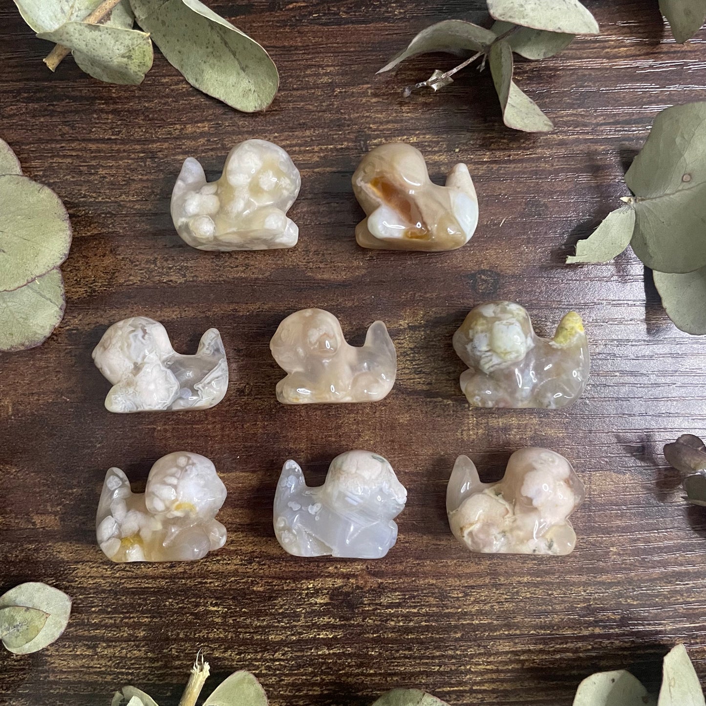 Miniature Puppy - Flower Agate