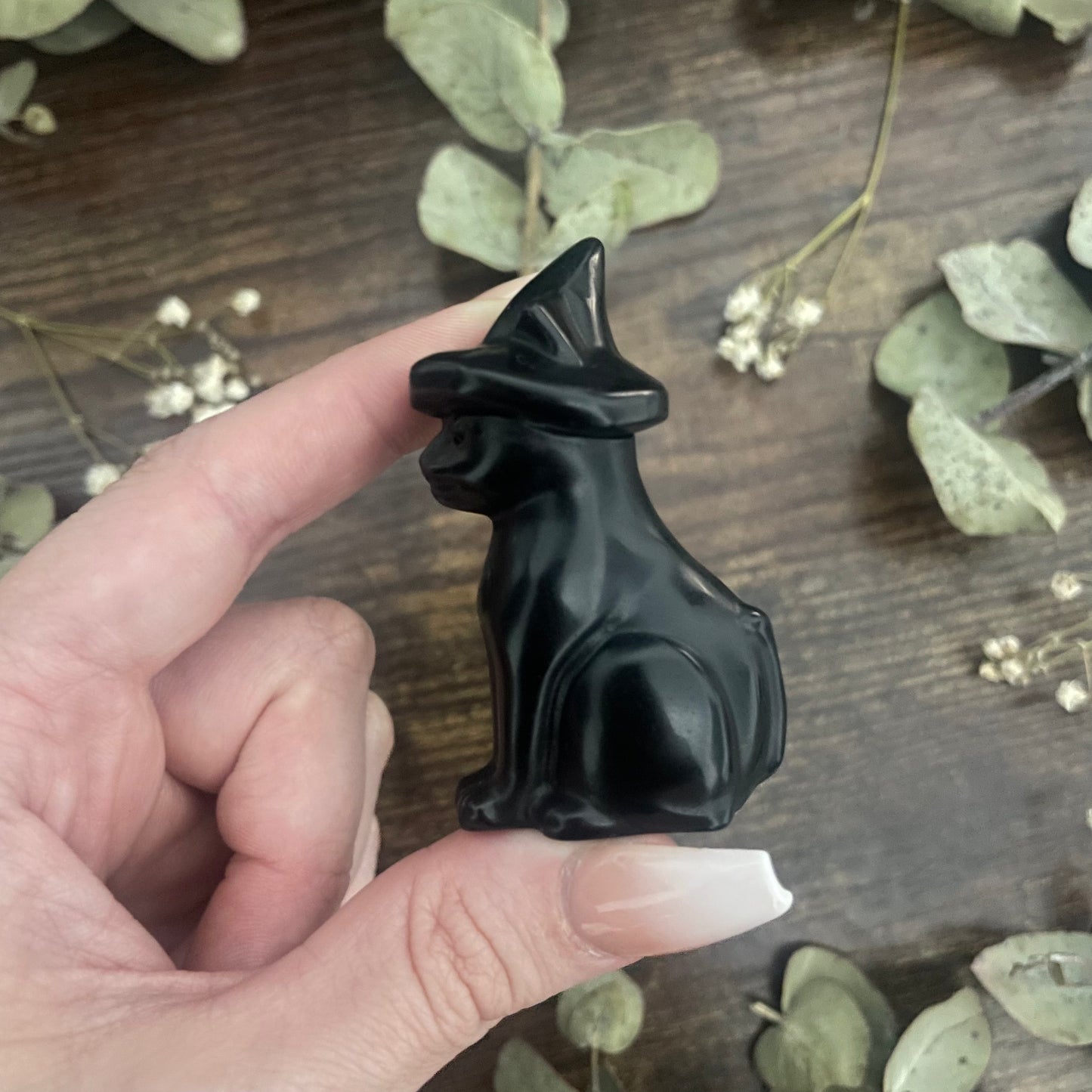 Kitten Familiar - Black Obsidian