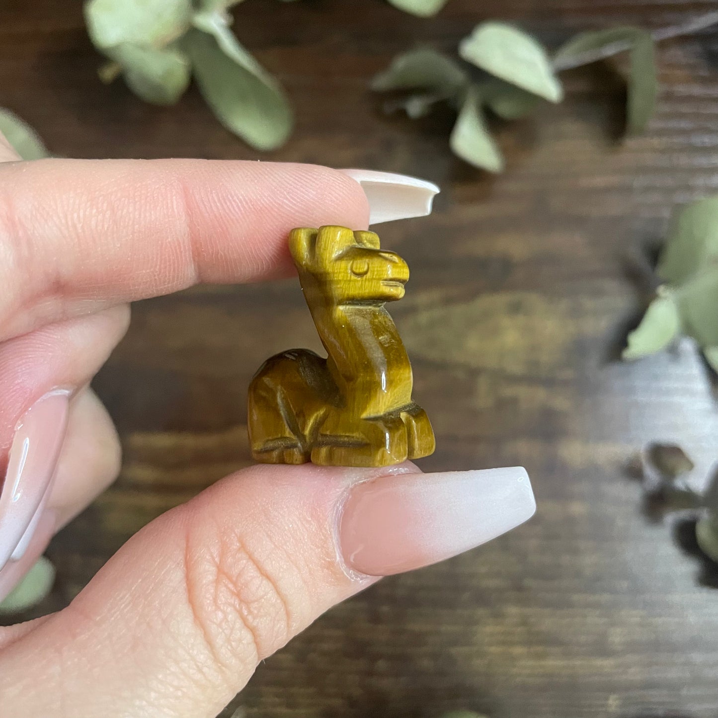 Miniature Llama - Assorted
