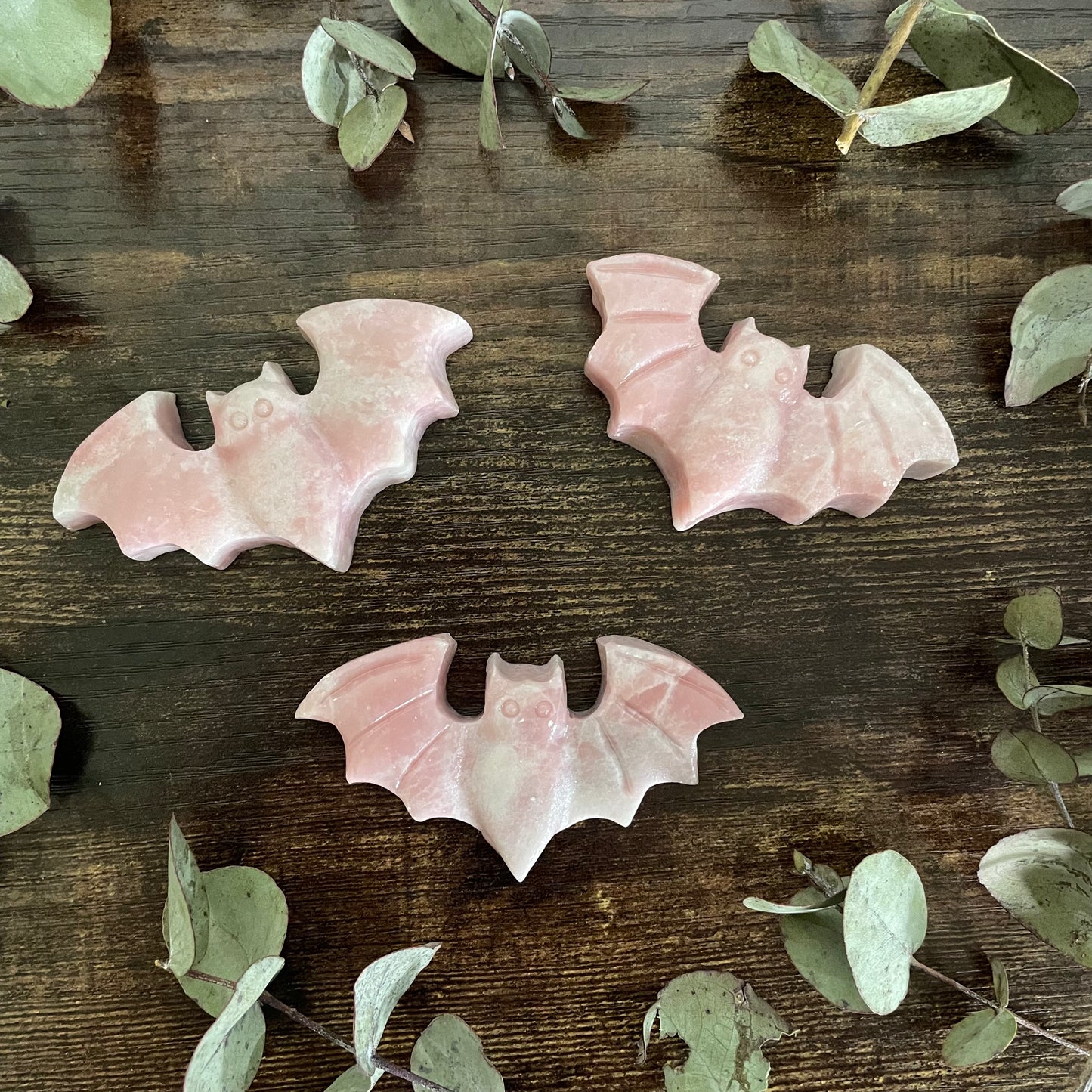 Flying Bat - Assorted