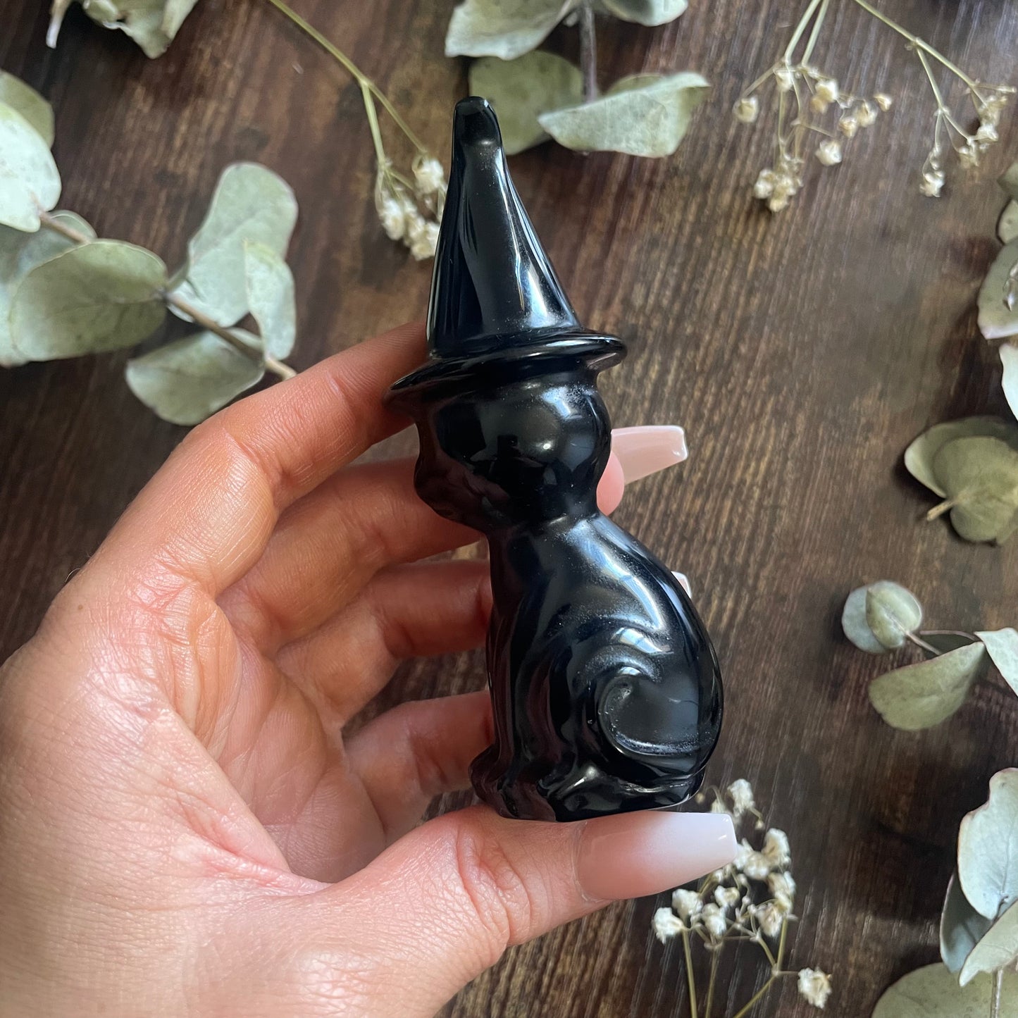 Witches Cat - Assorted