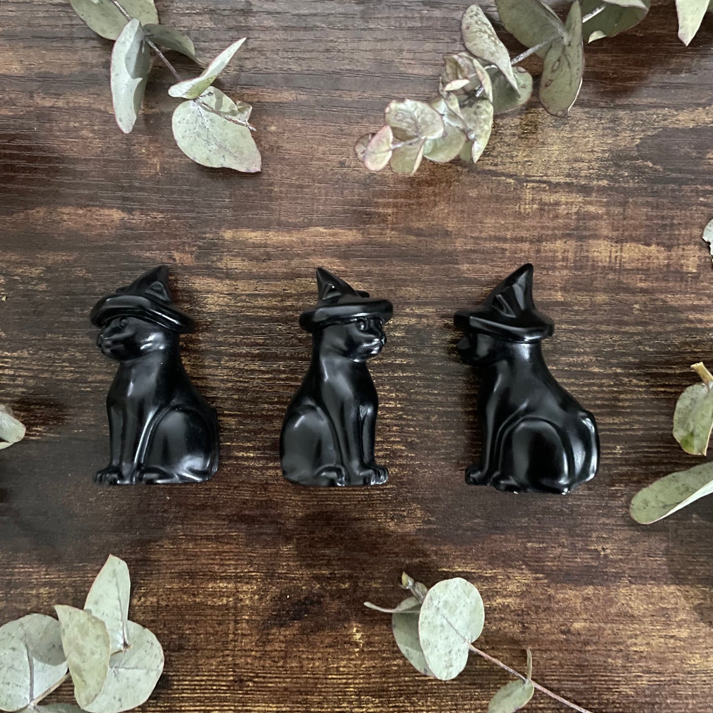 Kitten Familiar - Black Obsidian