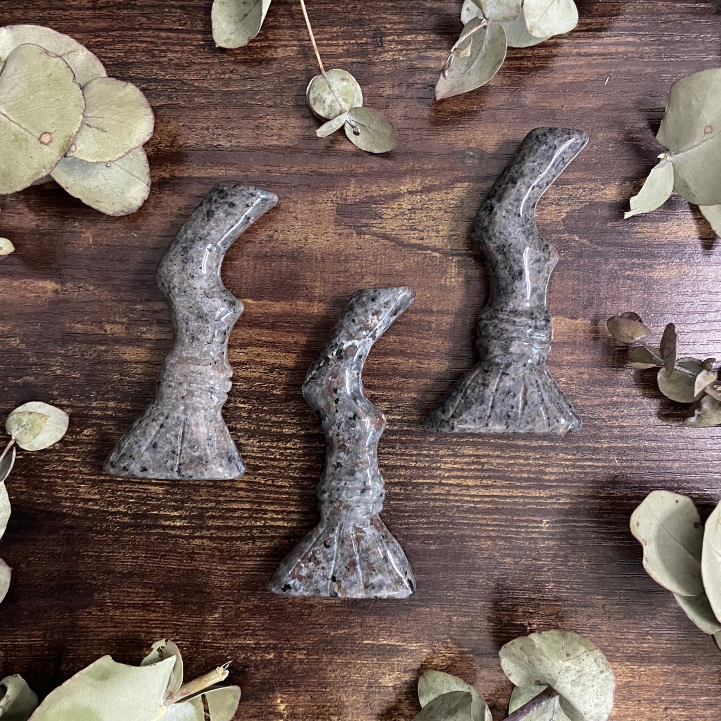 Witches Broom - Assorted