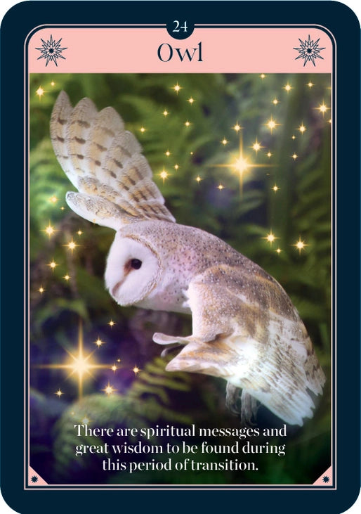 The Fortune Oracle - Oracle Cards