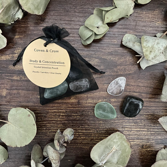 Witches Crystal Pouch - Study & Concentration