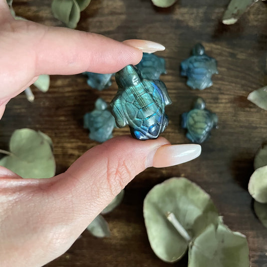 Miniature Turtle - Labradorite