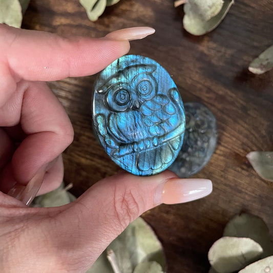 Owl Palmstone - Labradorite