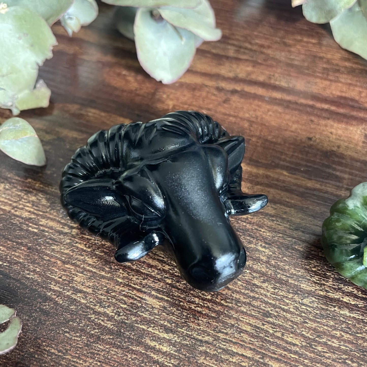 Aries Ram Head - Assorted