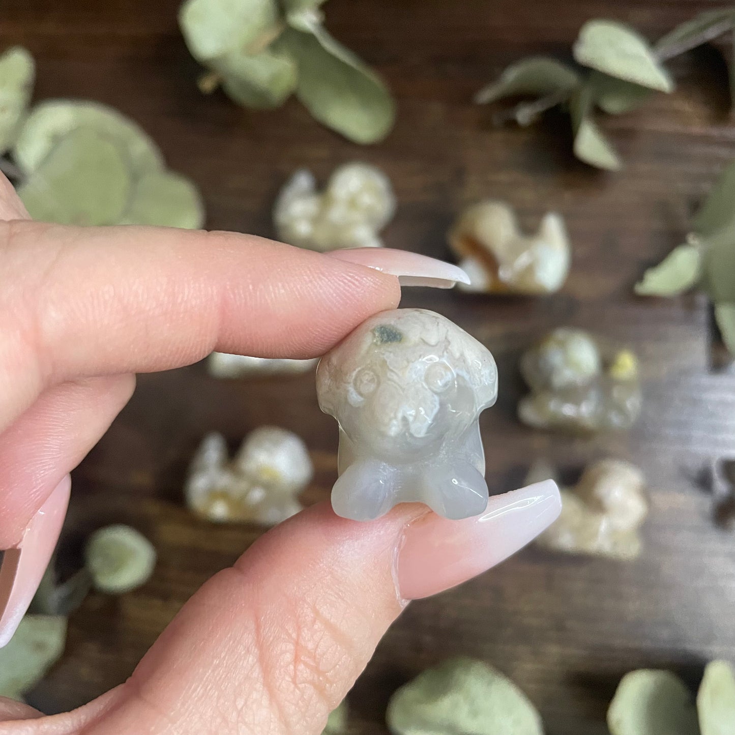 Miniature Puppy - Flower Agate