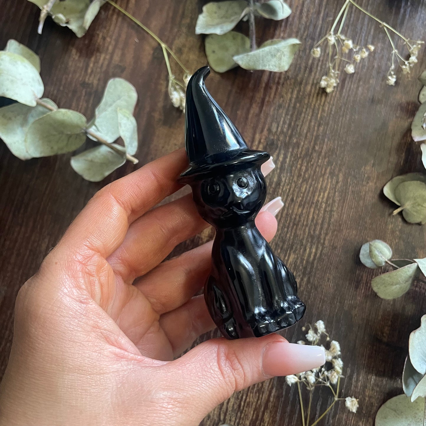 Witches Cat - Assorted
