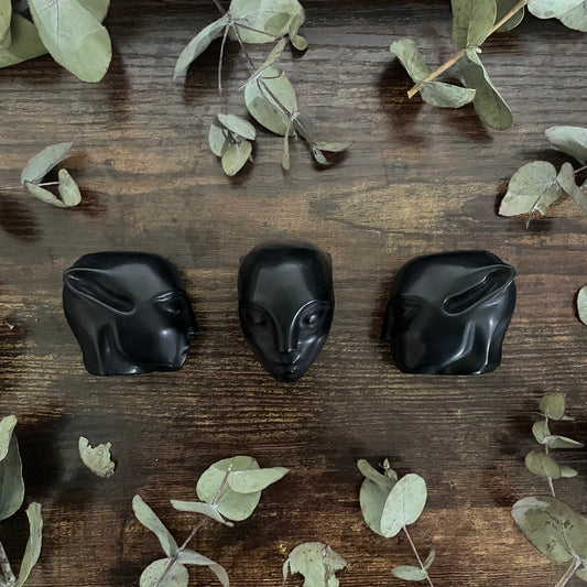Extra Terrestrial Head - Black Obsidian