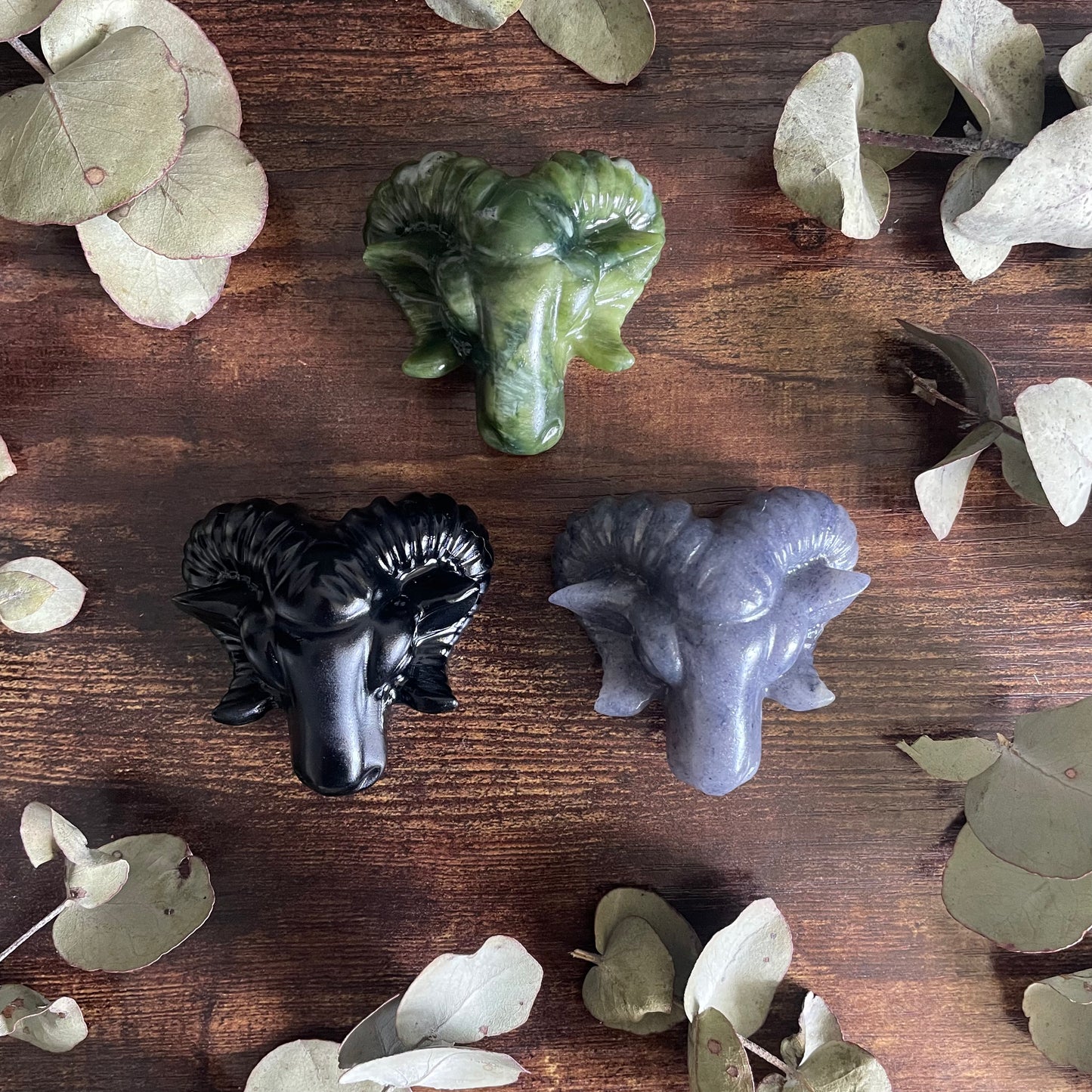 Aries Ram Head - Assorted