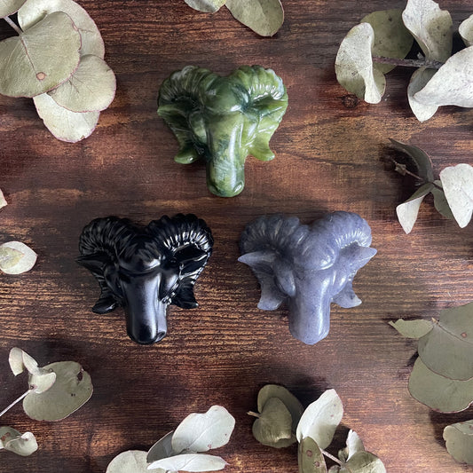 Aries Ram Head - Assorted