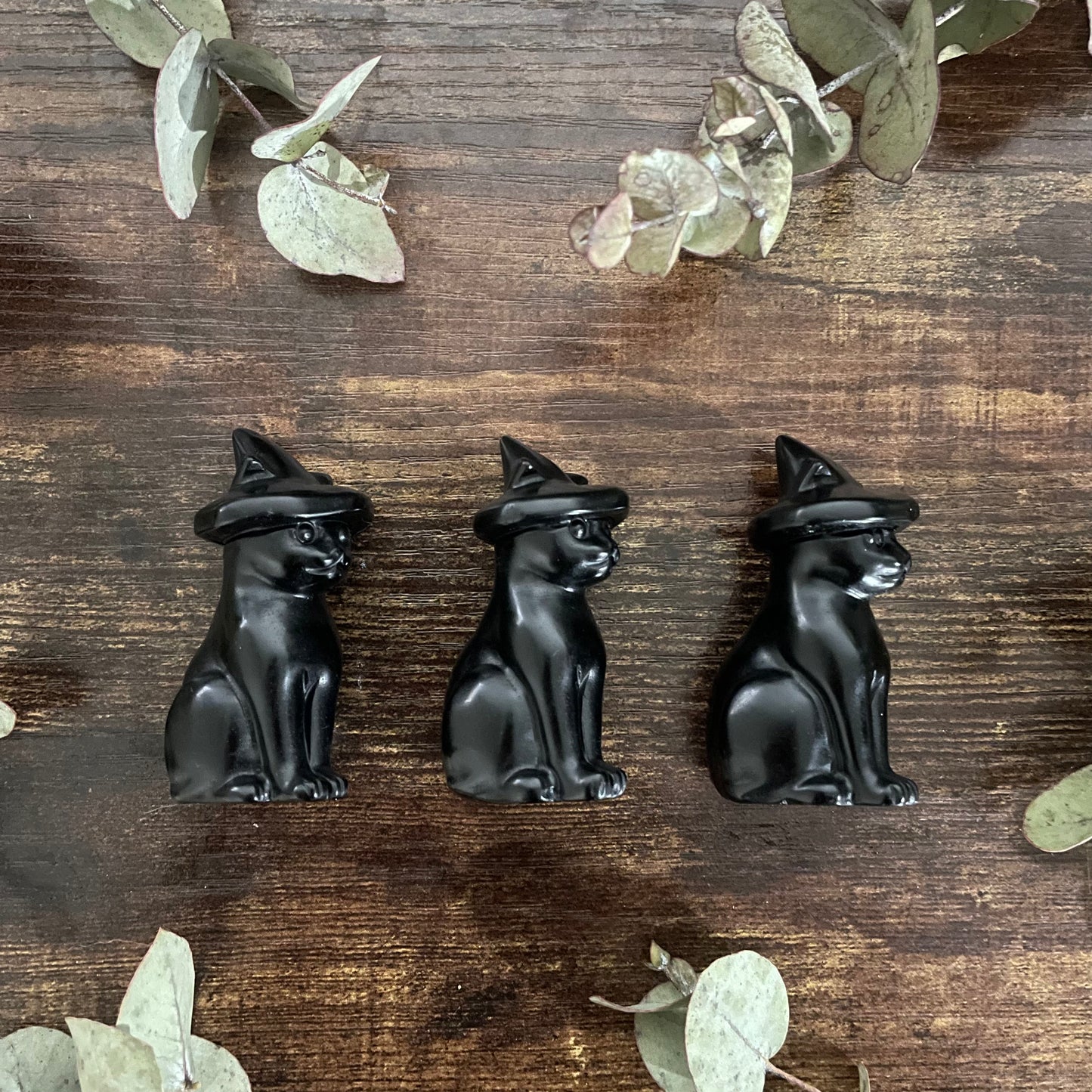 Kitten Familiar - Black Obsidian