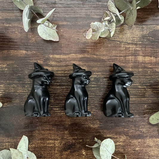 Kitten Familiar - Black Obsidian