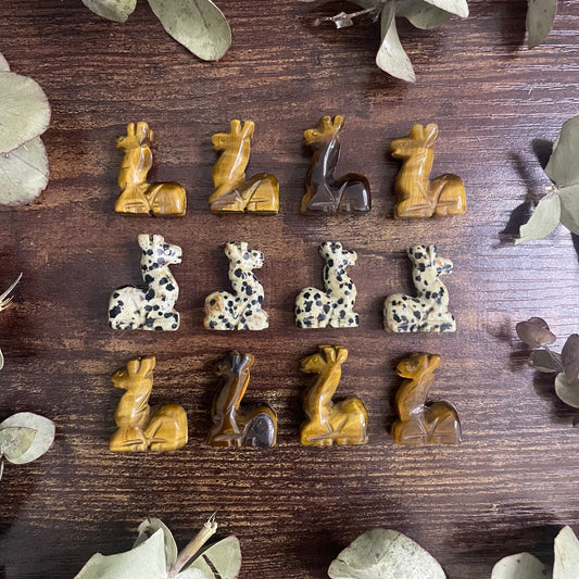 Miniature Llama - Assorted