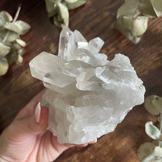 Clear Quartz Cluster - Statement Piece