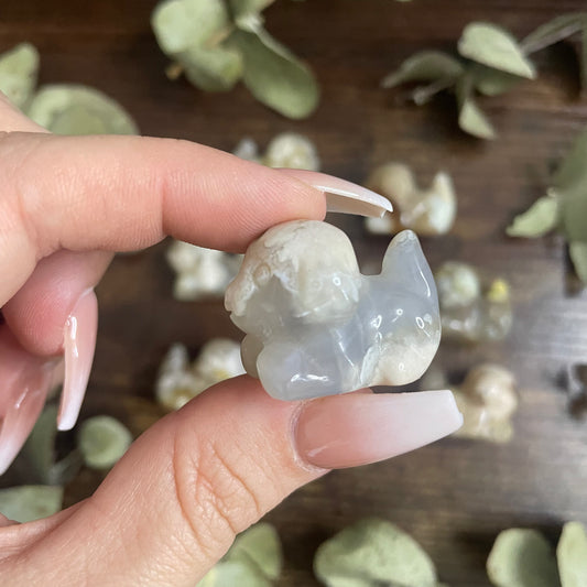 Miniature Puppy - Flower Agate
