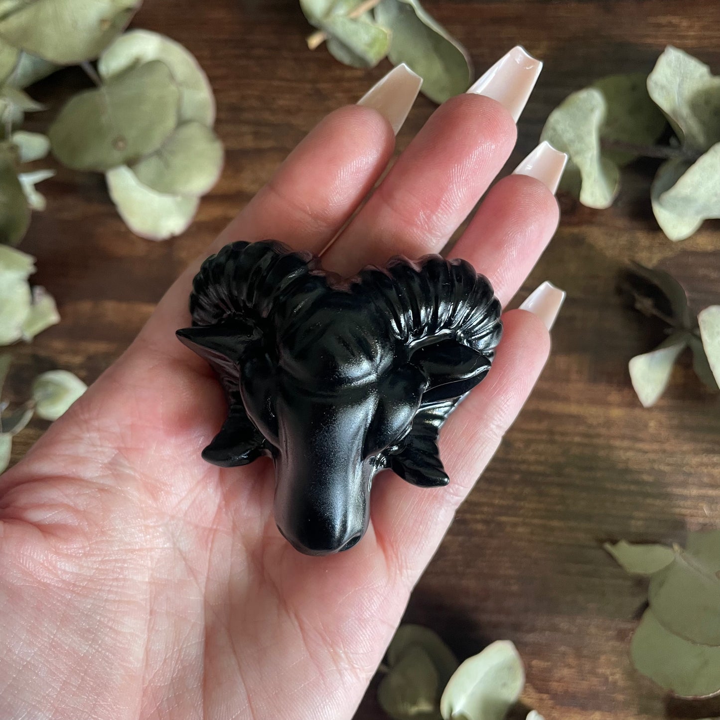 Aries Ram Head - Assorted